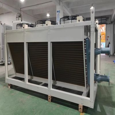 Enfriador de aire seco de alta eficiencia con ventilador de diseño personalizado que irradia para centro de datos