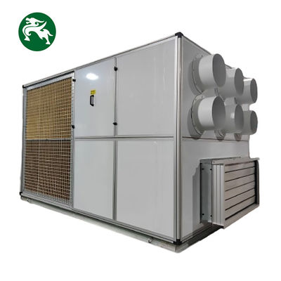 Unidad DX de deshumidificación de techo de temperatura constante y enfriada por aire integrada para batería de litio